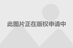 司南导航：中泰证券、长信基金等多家机构于9月25日调研我司