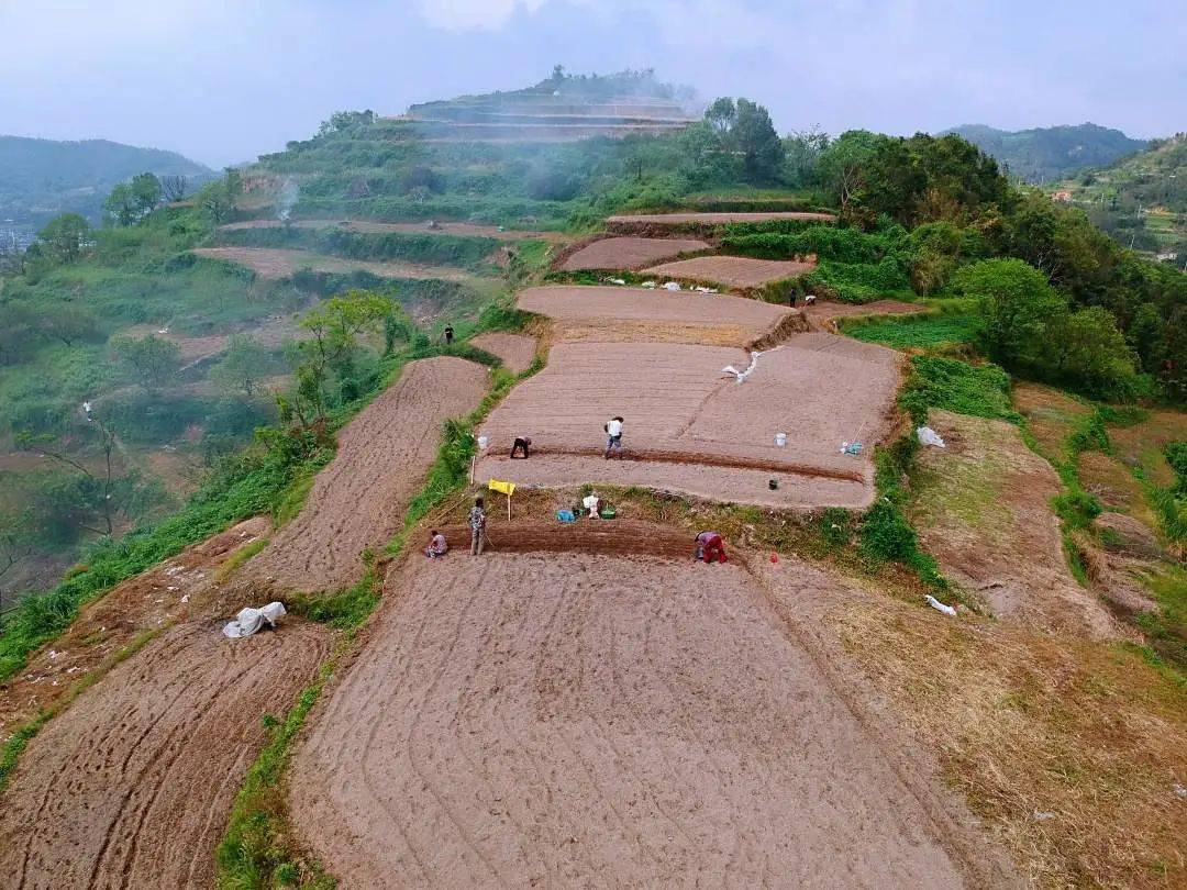 百奥泰：11月25日召开业绩说明会，投资者参与