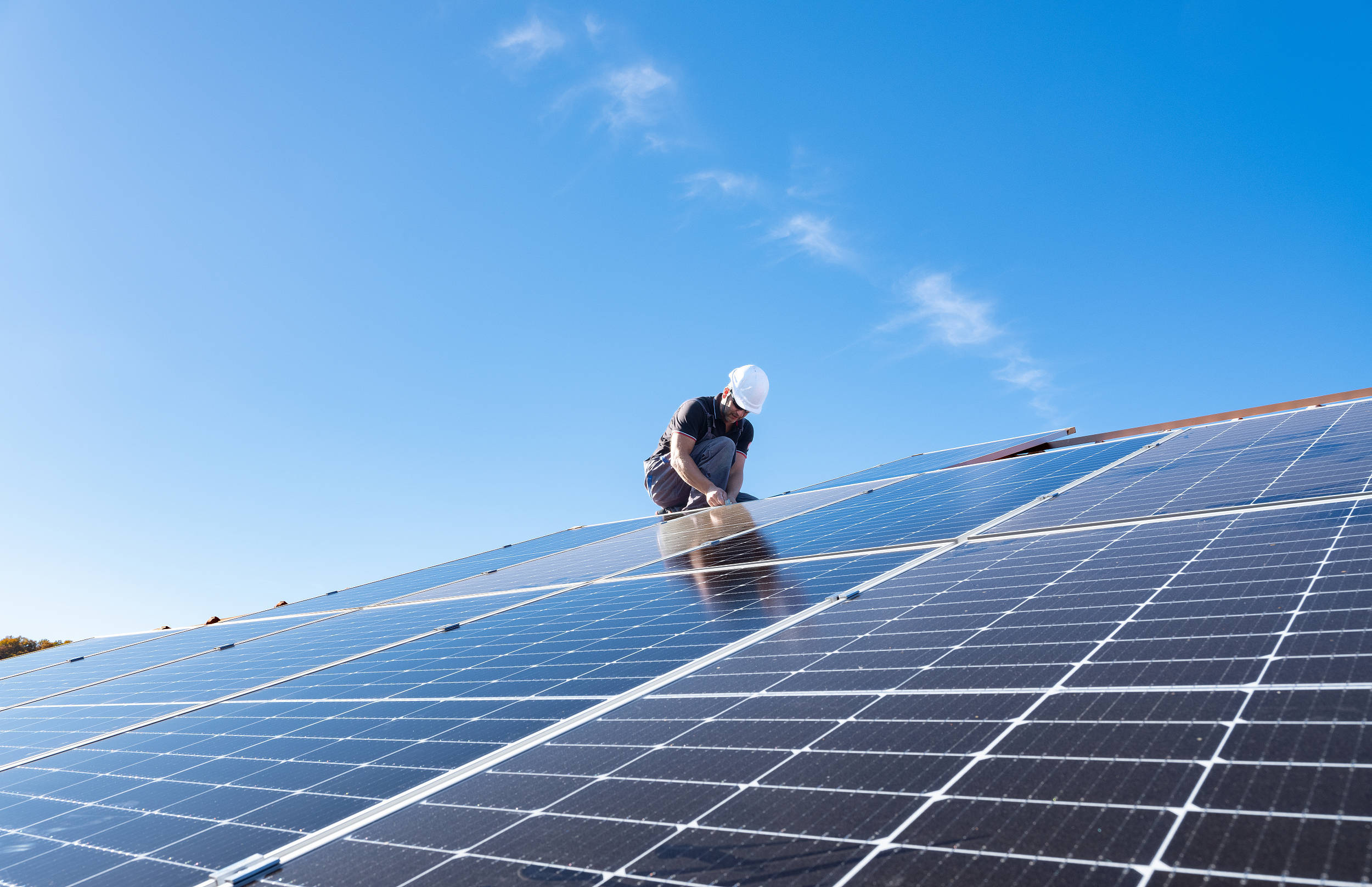 TCL中环：预计2024年全年亏损89.00亿至82.00亿 净利润同比下降360.53%至340.04%