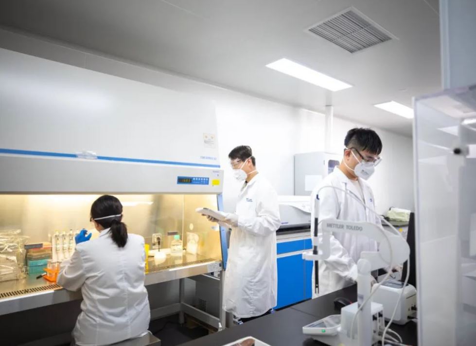 君实生物:JS203(CD20/CD3双抗)目前在I期探索研究过程中