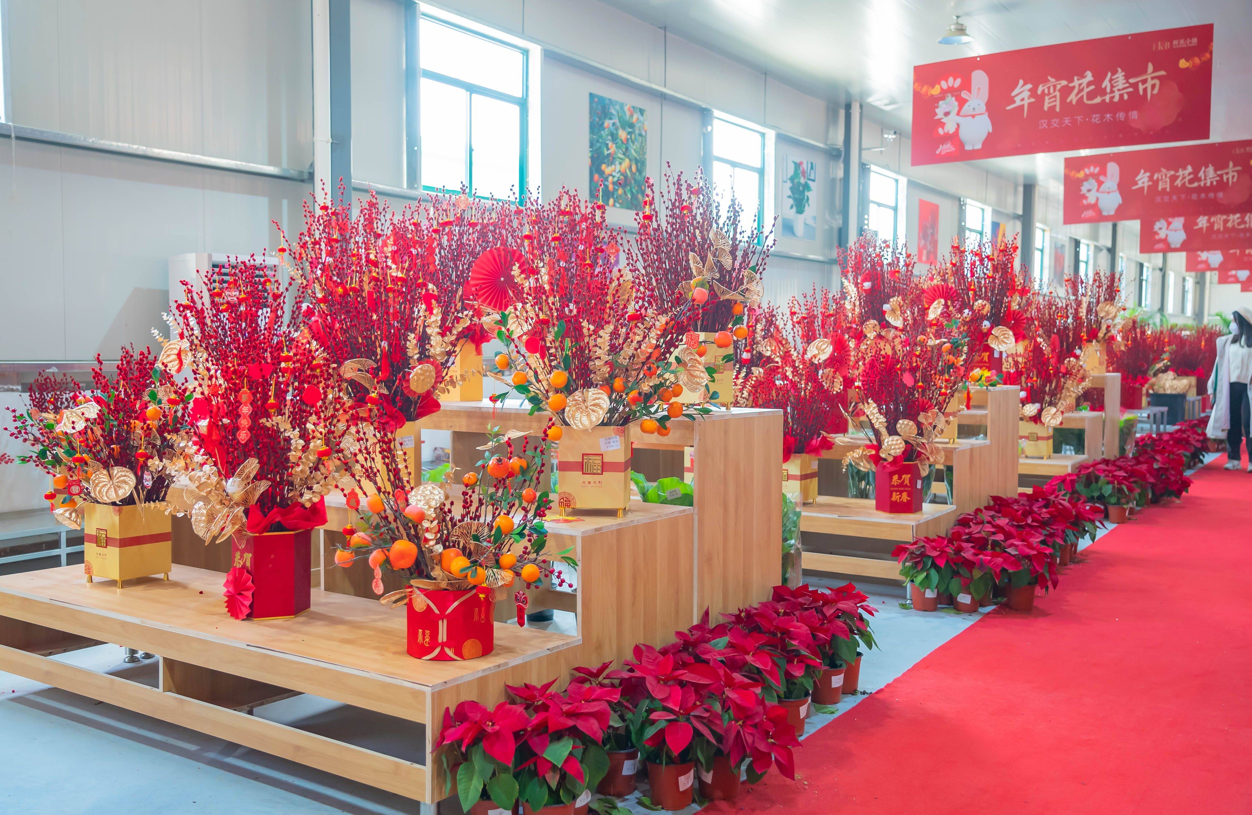 鲜花市场持续升温！企查查：花卉种植企业存量超150万家