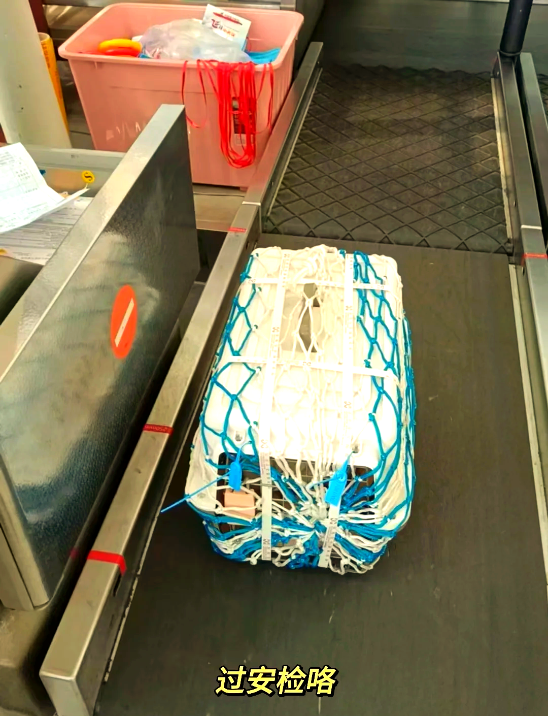 12306推出宠物托运功能！一季度宠物服务企业注册量增长42.87%