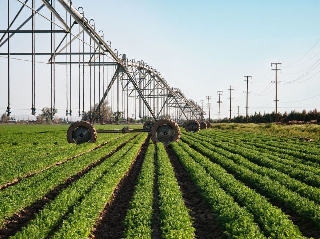 2025年中国水泥行业技术环境分析：技术研发热度不高，未来主要朝绿色降碳方向发展