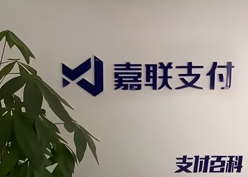 财报速递：陕西金叶2024年全年净利润4201.56万元