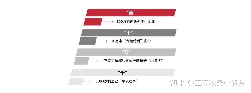 想适应变化提升自己该怎么做？“小巨人”企业代表给你建议……