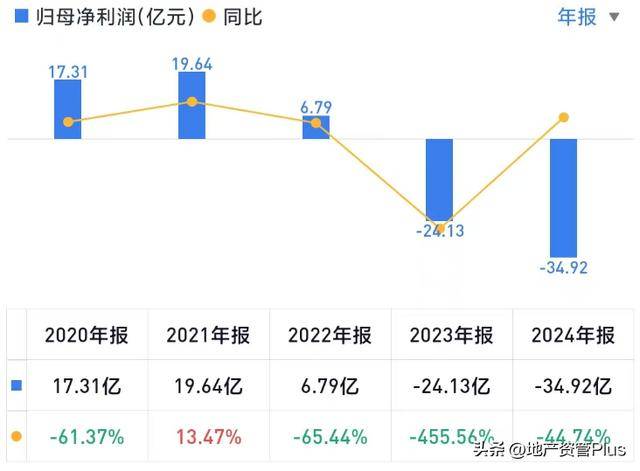 董事兼总经理车建兴被留置 美凯龙公告称“不会对公司日常经营产生重大影响”