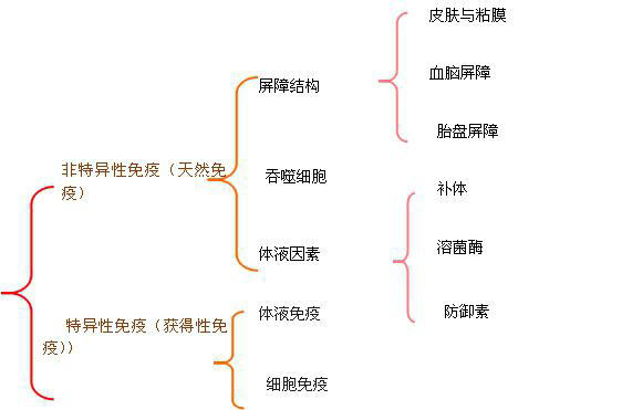 爱博医疗：爱诺微®4K3D显微手术成像系统是公司所代理的第三方公司的产品