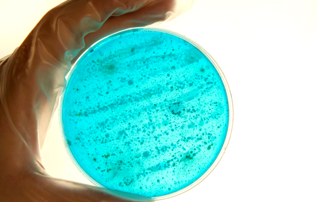 嘉必优：公司基于合成生物学的多组学研究取得了一定的突破
