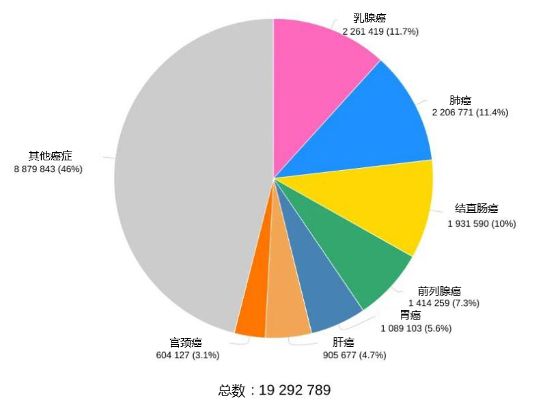 市传圣贝拉(2508.HK)国际配售获数倍超额认购