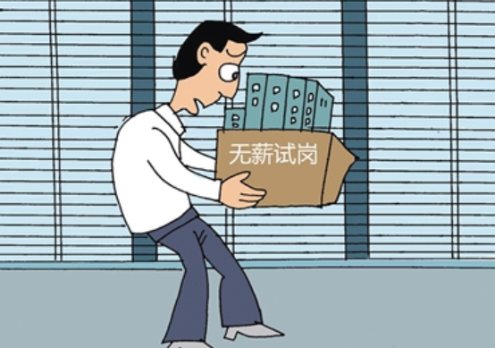 涉税中介执业要严守法律底线