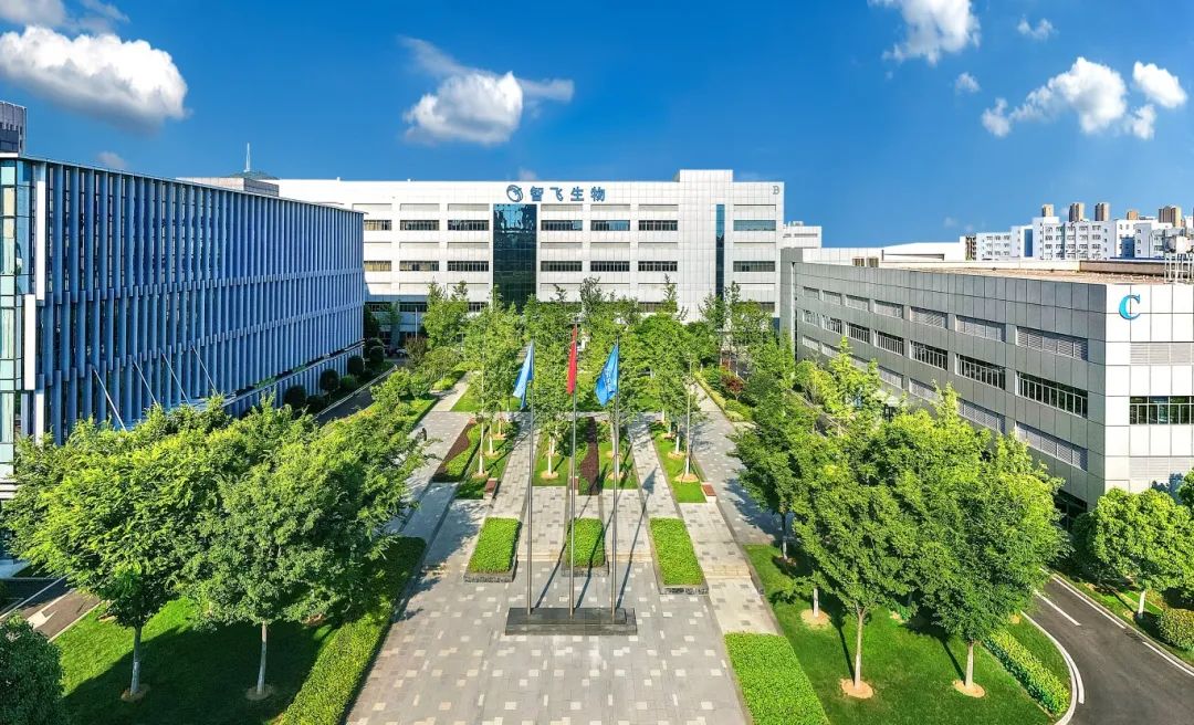 财报速递:智飞生物2025年半年度净亏损5.97亿元