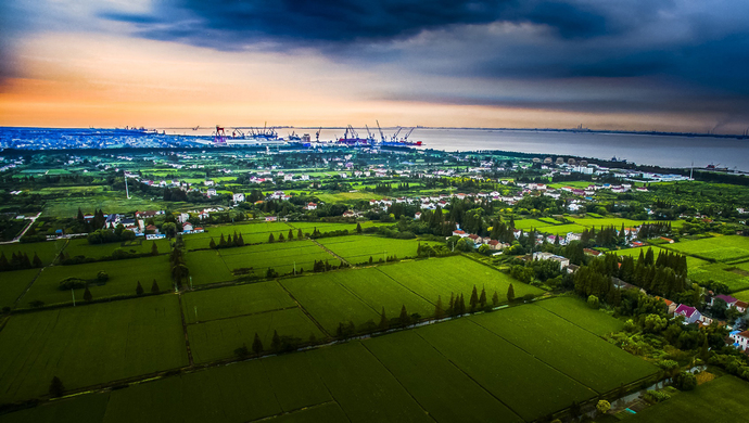 生态环境部副部长郭芳：上合组织生态环保合作为全球南南环境合作提供了良好范式