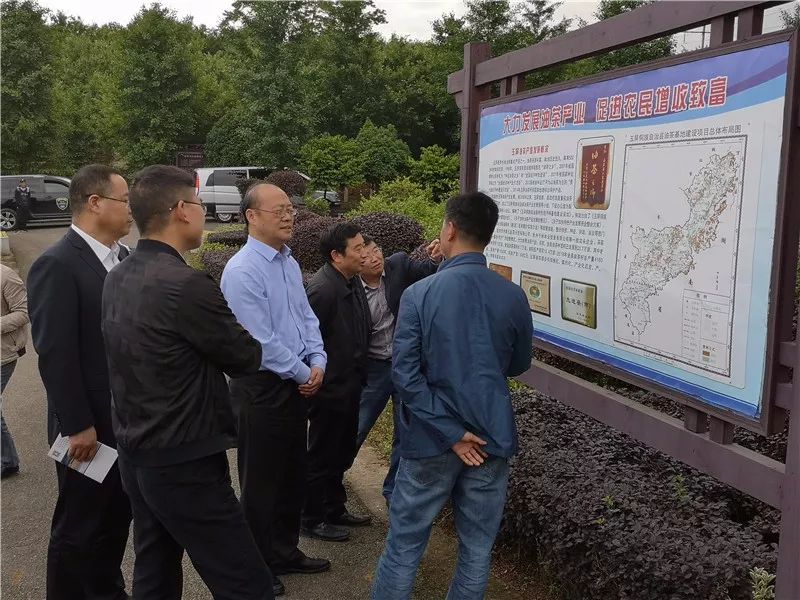 芯导科技：立格资本投资者于9月24日调研我司