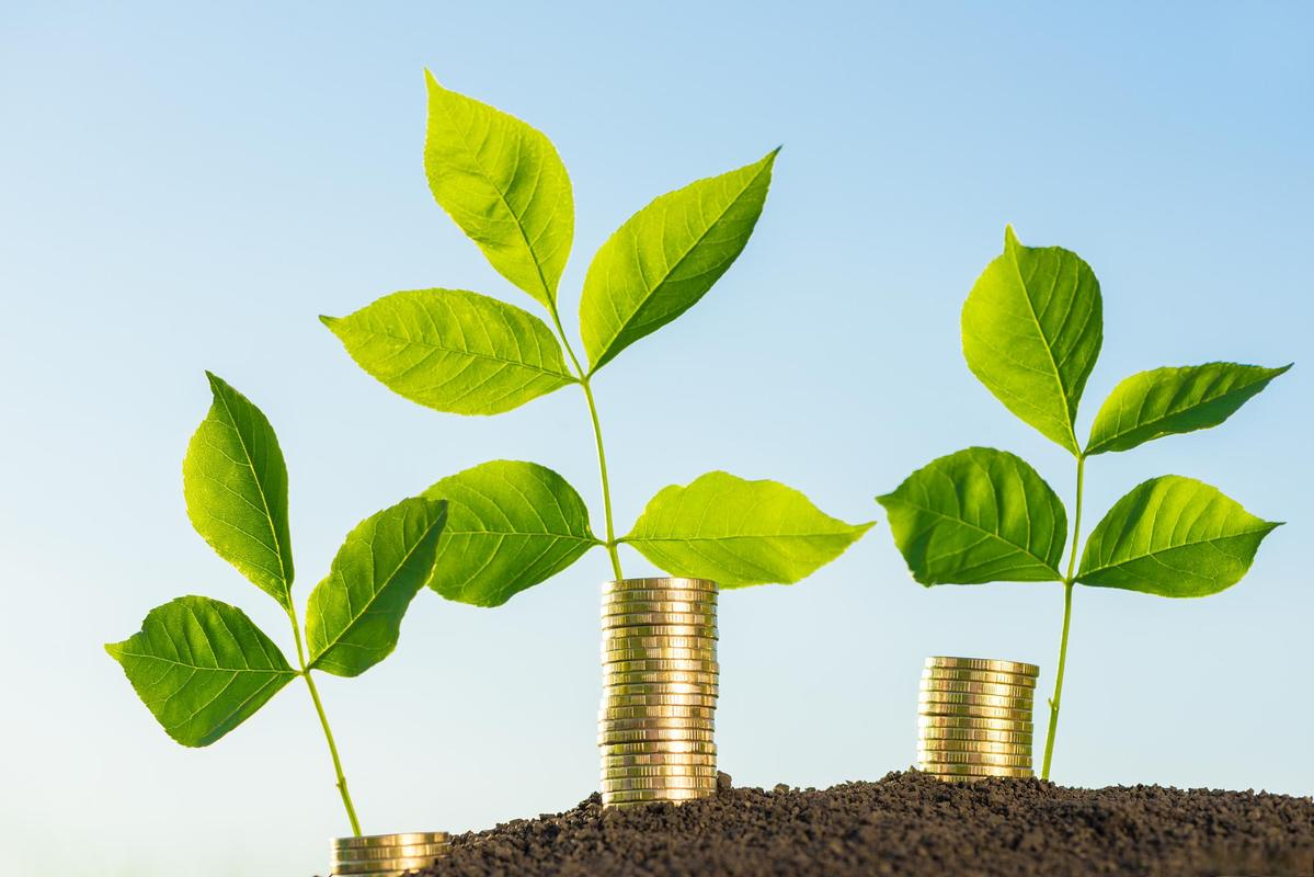 两部门:鼓励金融机构发行“三农”、小微、绿色专项金融债券 | 金融早参