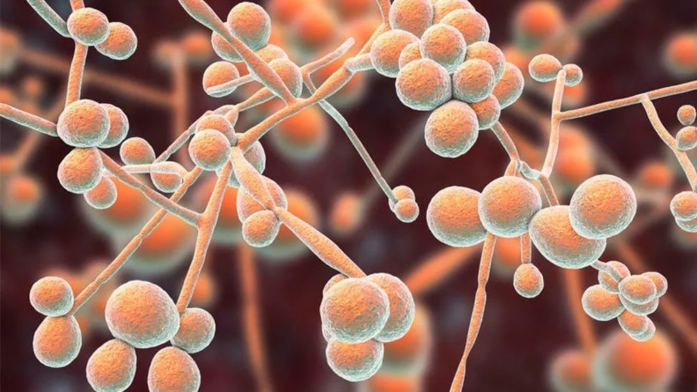 吉贝尔最新公告:在研抗抑郁一类新药JJH201501III期临床试验结果积极