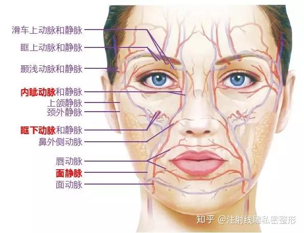 美容护理行业周报：高端玻尿酸产品实现眶下凹陷纠正新方案