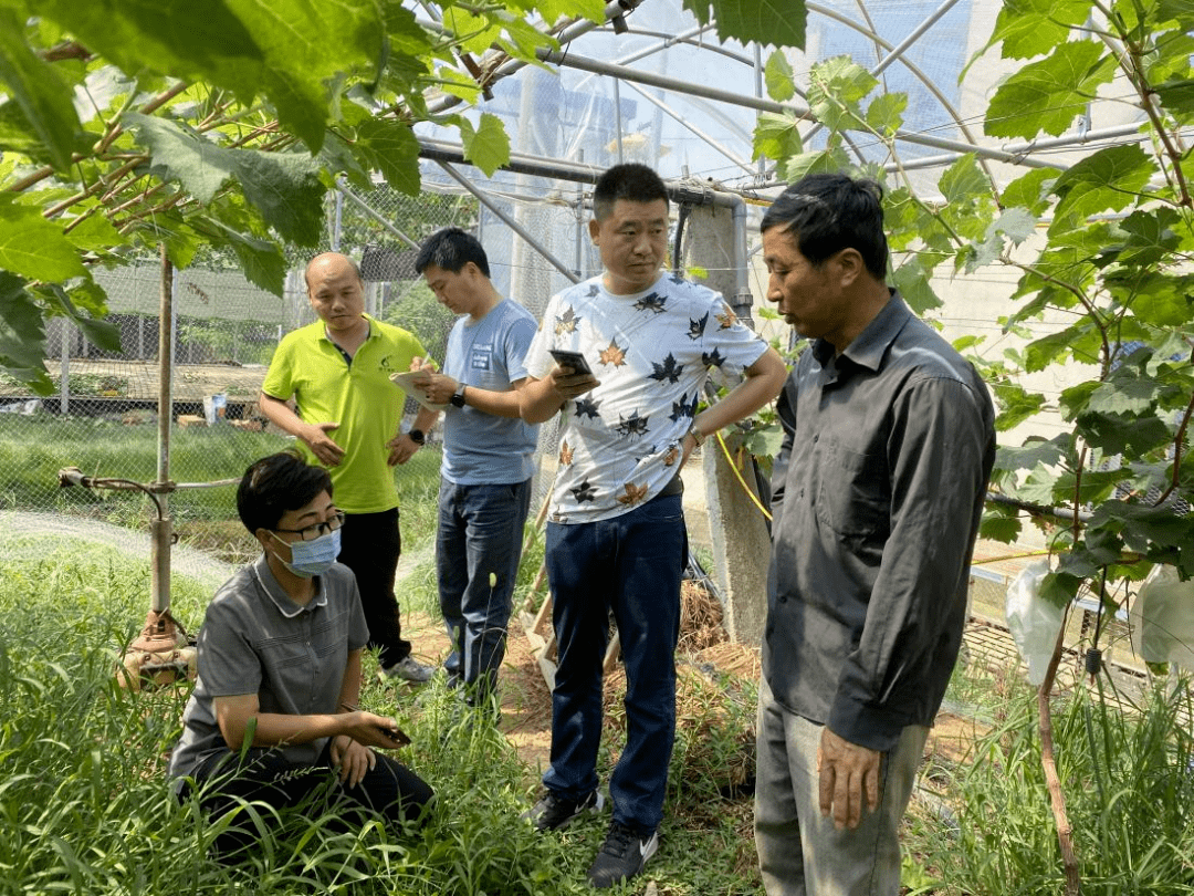莱斯信息：11月27日接受机构调研，国信证券、华西证券等多家机构参与