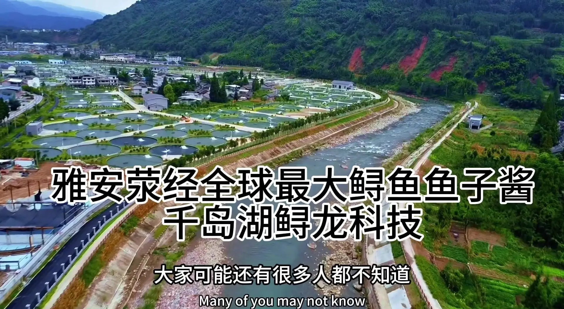 鲟龙科技港股IPO，为全球最大的鱼子酱企业，依赖海外市场