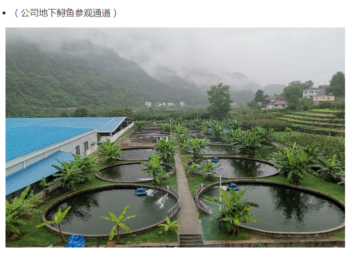 鲟龙科技港股IPO，为全球最大的鱼子酱企业，依赖海外市场