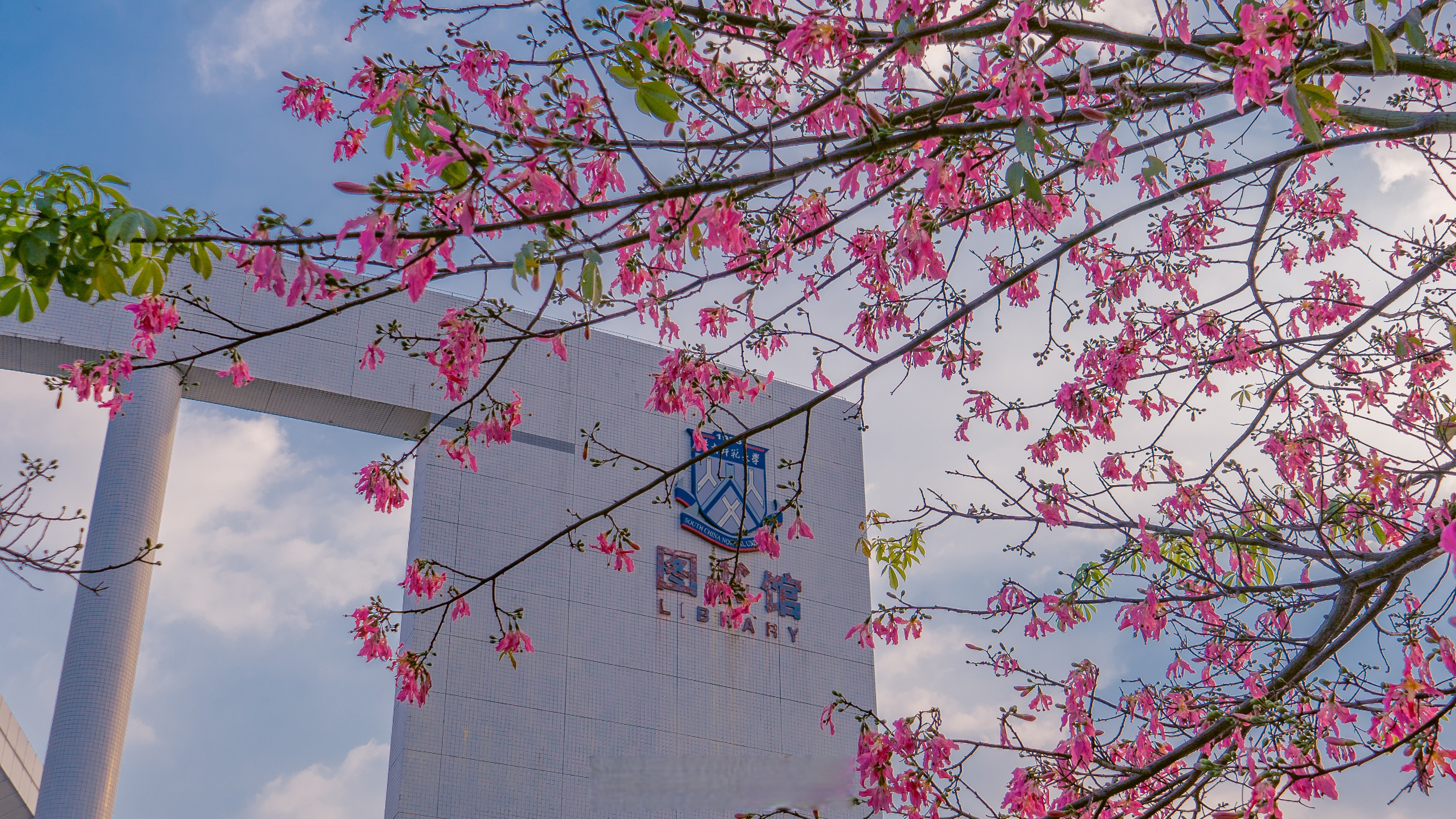 红心远航葆初心，正道笃行致千里——红塔证券着力构筑“红正”文化品牌体系