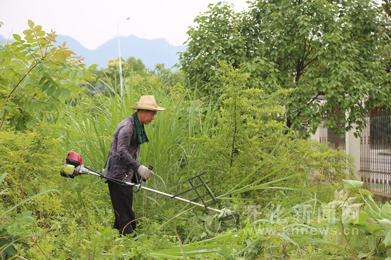 加力农机装备补短板！前11月农业机器人相关企业注册涨近80%