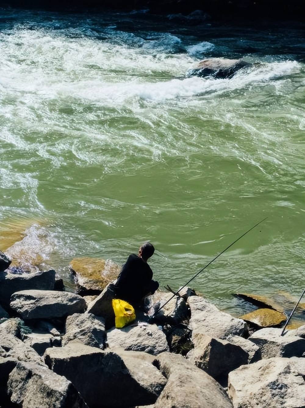 禁渔5年,长江在悄悄“疗伤”:江豚多了,生物多样性“优”了,渔业也向“绿色”转型了