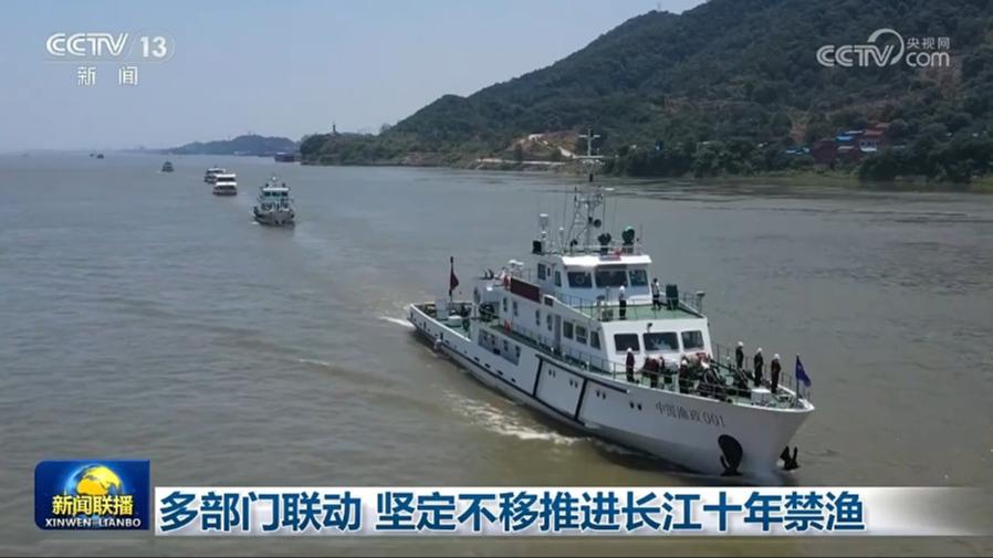禁渔5年，长江在悄悄“疗伤”：江豚多了，生物多样性“优”了，渔业也向“绿色”转型了
