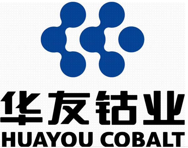 证监会同意林平发展上交所IPO注册