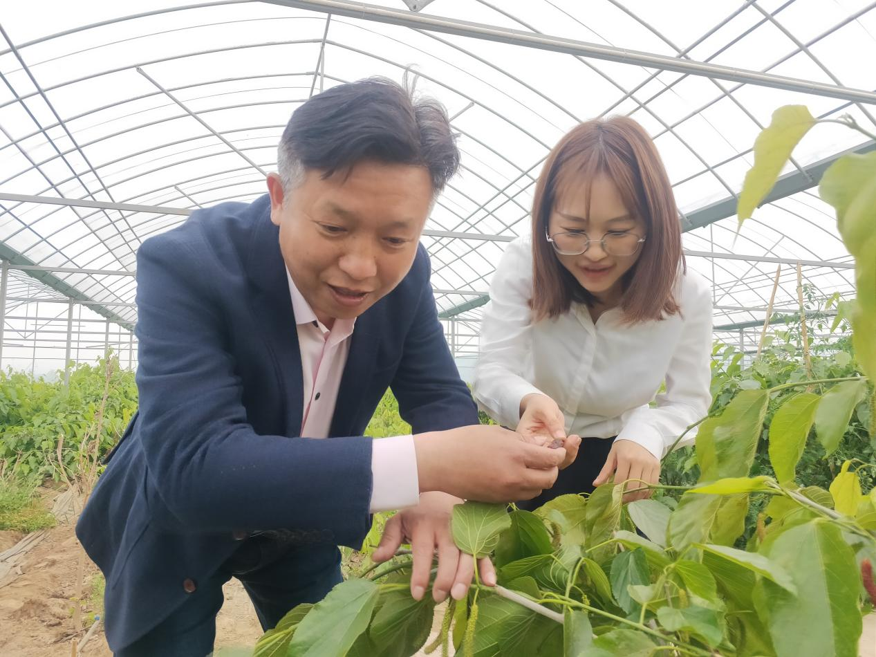 开局向“新”|银行为“硬科技”注入“耐心”活水