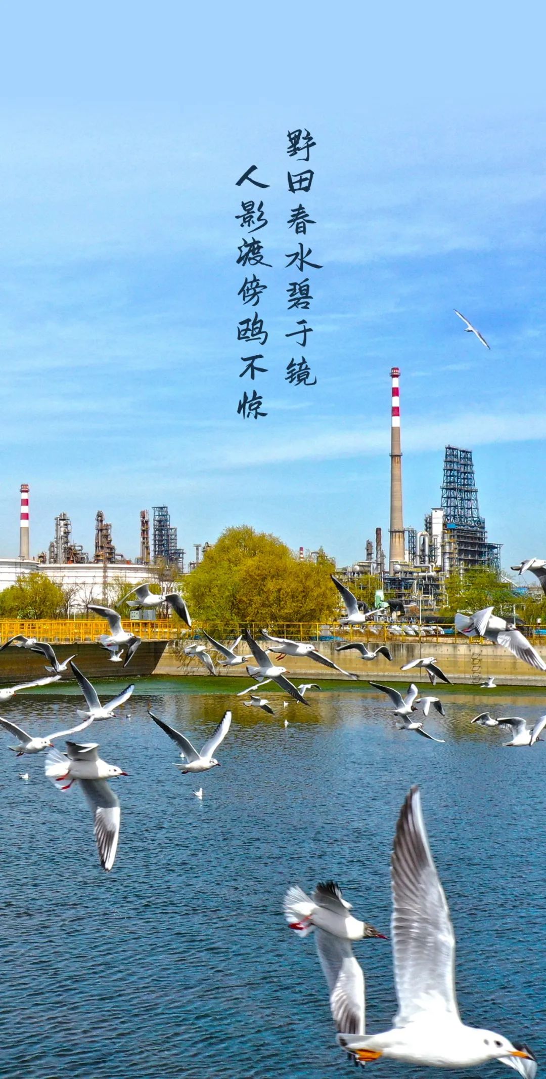 中石化国际能源投资公司增资至825.8亿元