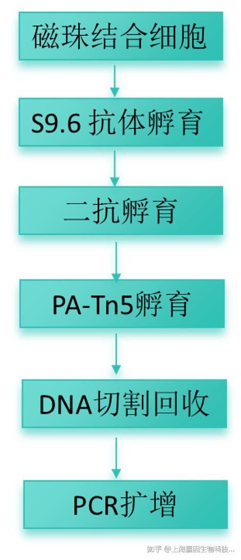 嘉因生物冲击IPO，深耕基因疗法，尚无产品上市