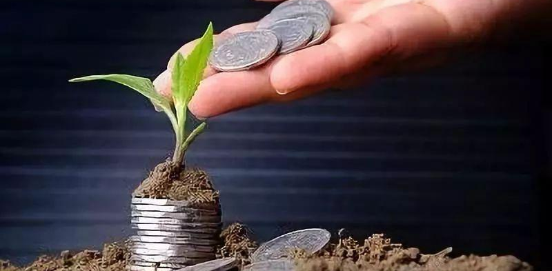 只考虑3天，1家8口嫌租房太贵直接买房！三亚旅游市场加速回暖的另一面