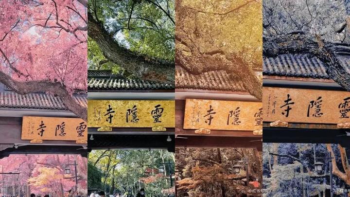 多样文旅选择给足情绪价值