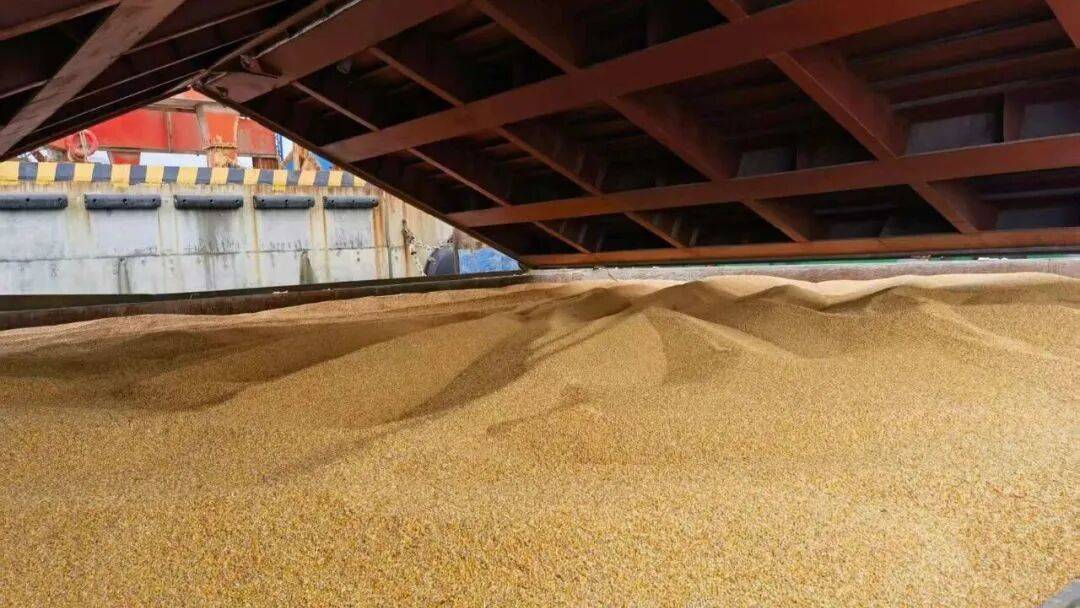 中国重要粮食产区三江平原粮运专线焕新 助力北粮南运